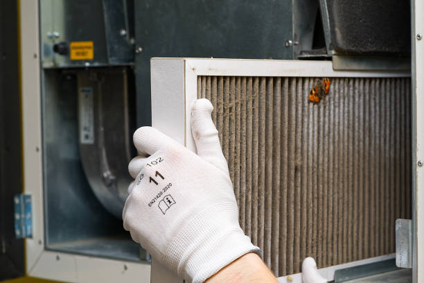 Best HVAC Air Duct Cleaning  in Peculiar, MO