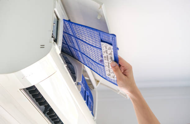 Best Duct Cleaning Specialists  in Peculiar, MO