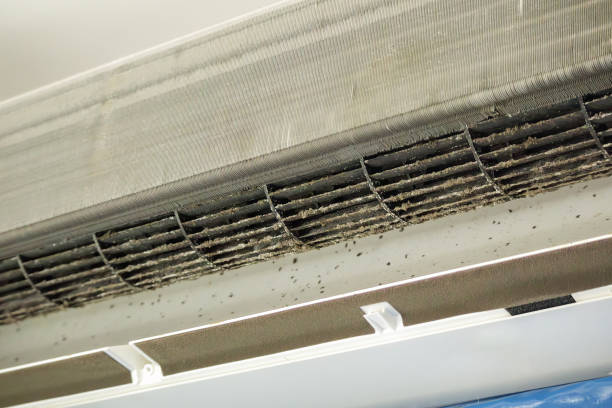 Best Air Duct Cleaning Near Me  in Peculiar, MO