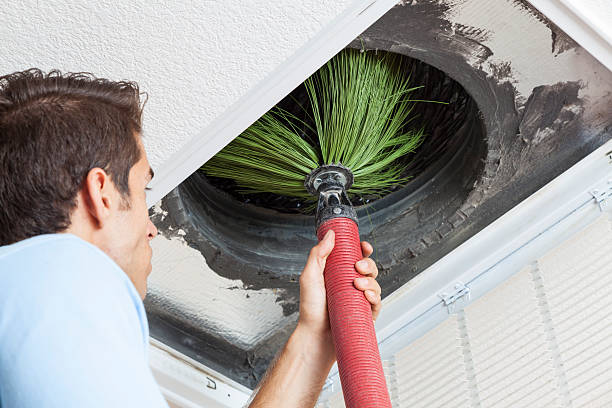 Best Affordable Air Duct Cleaning  in Peculiar, MO